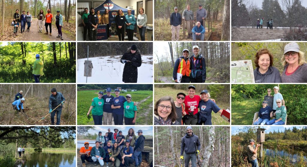 Collage of volunteer photos