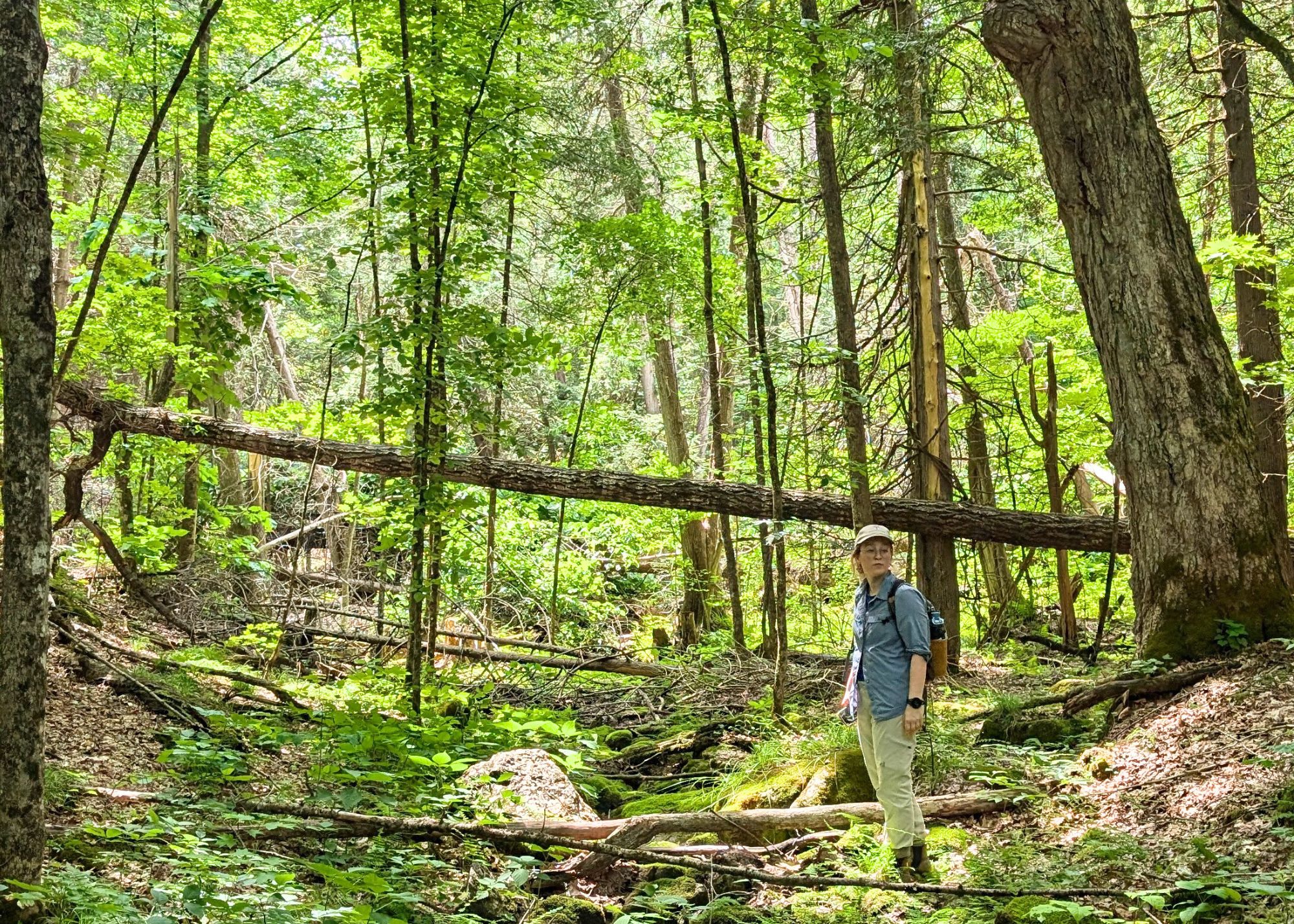 Sam Clapperton Land Research Coordinator at site visit. KLT's MapleCross John Wolfe Forest Preserve