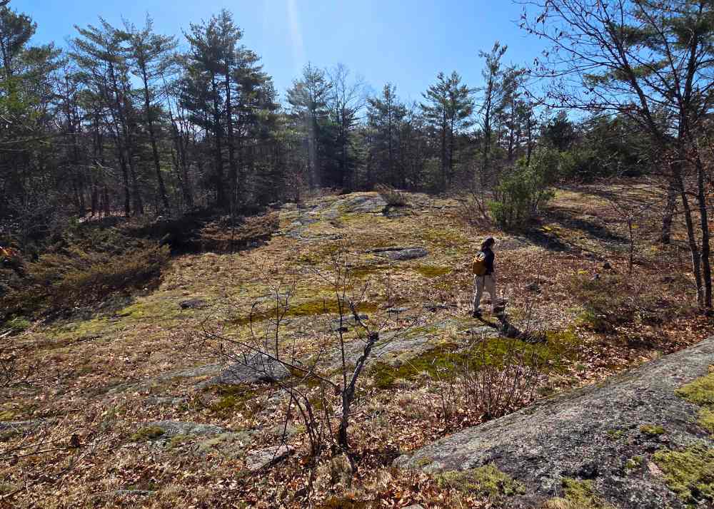 Kawartha Highlands South Rock Barrens