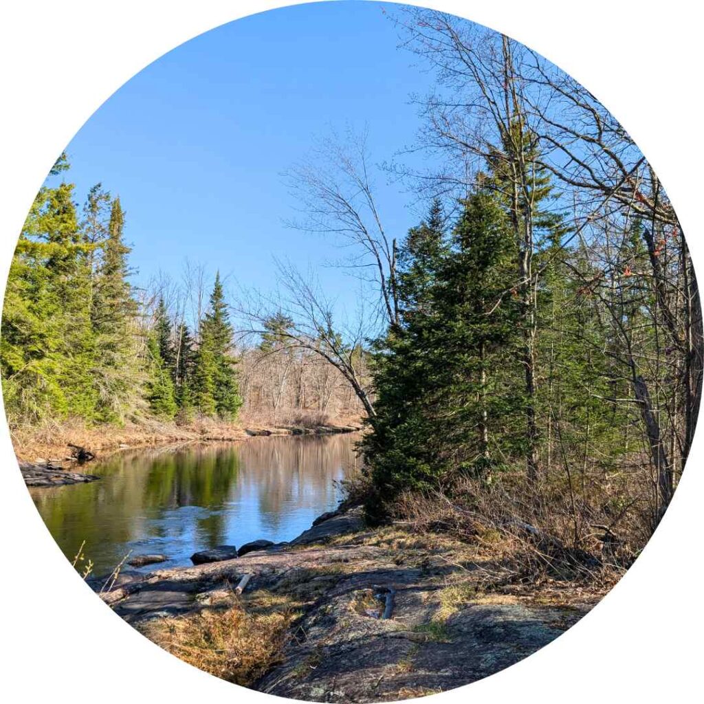 Mississauga River in Trent Lakes