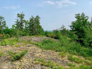 Rock barrens at Kawartha Highlands South
