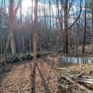 Stone wall from settlers farming the land in the early days at Ingleton-Wells.