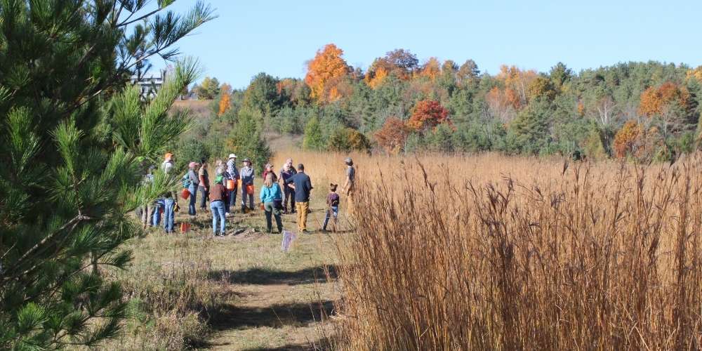 2024 Annual Tallgrass Prairie Seed Harvest at KLT's Ballyduff Trails.
