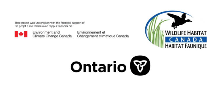 Funder recognition logos