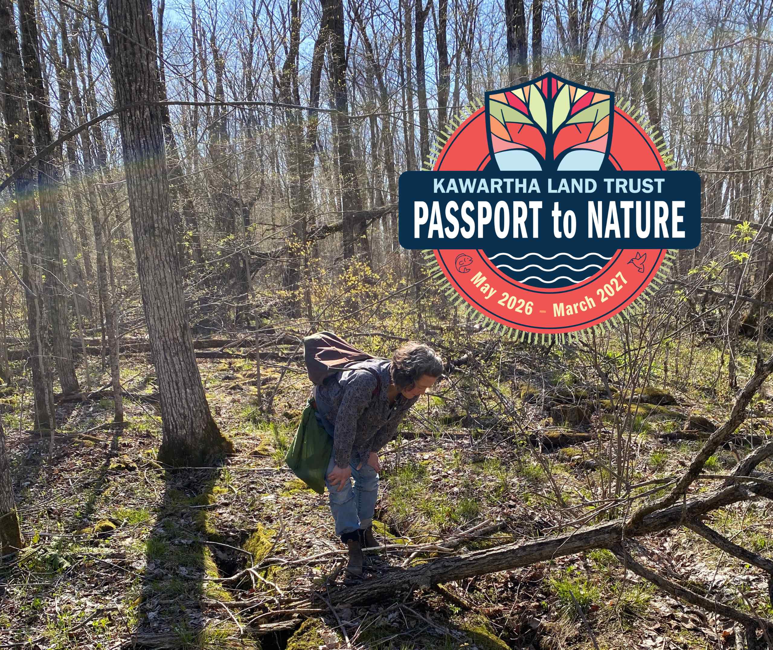 An explorer looking at plants in nature.