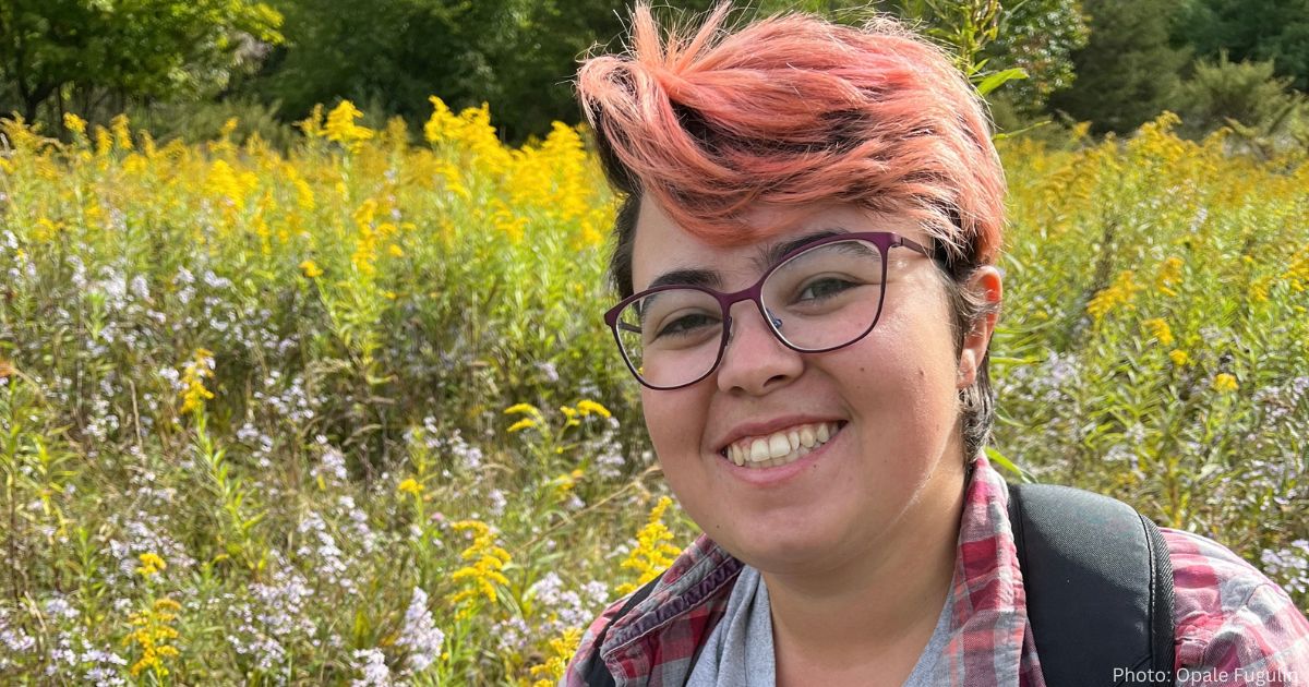 Kate Cornish in a field of Goldenrods and Asters.